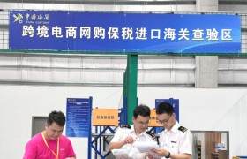海关查验全场景应对方案：口岸 / 目的地 / 核放单 / 随机布控处理流程